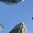 20090125_156